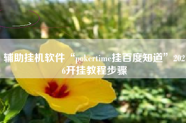 辅助挂机软件“pokertime挂百度知道	”2026开挂教程步骤