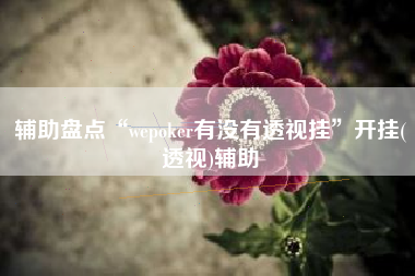 辅助盘点“wepoker有没有透视挂”开挂(透视)辅助