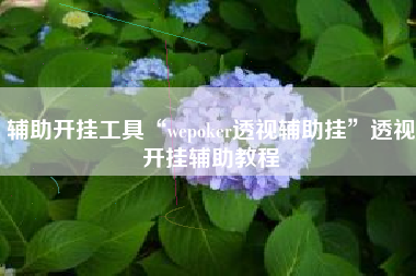 辅助开挂工具“wepoker透视辅助挂	”透视开挂辅助教程