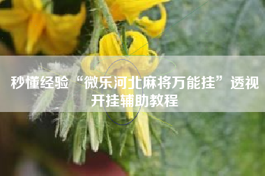 秒懂经验“微乐河北麻将万能挂	”透视开挂辅助教程