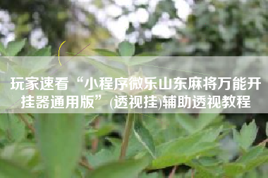 玩家速看“小程序微乐山东麻将万能开挂器通用版”(透视挂)辅助透视教程