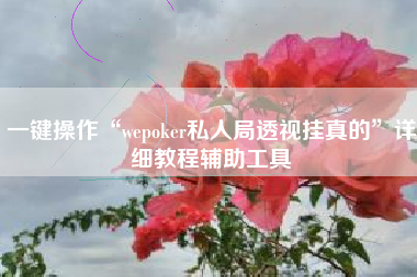 一键操作“wepoker私人局透视挂真的”详细教程辅助工具