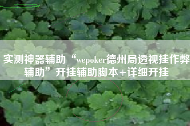 实测神器辅助“wepoker德州局透视挂作弊辅助	”开挂辅助脚本+详细开挂
