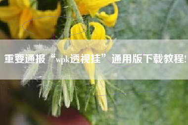 重要通报“wpk透视挂	”通用版下载教程!
