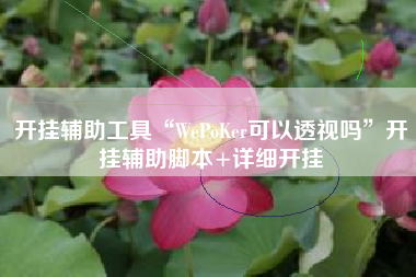开挂辅助工具“WePoKer可以透视吗”开挂辅助脚本+详细开挂