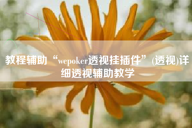 教程辅助“wepoker透视挂插件”(透视)详细透视辅助教学