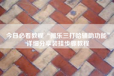 今日必看教程“微乐三打哈辅助功能”详细分享装挂步骤教程