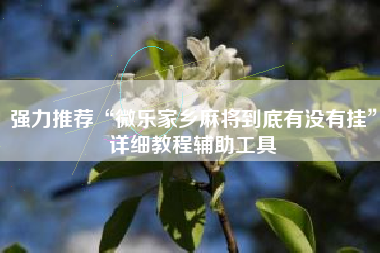 强力推荐“微乐家乡麻将到底有没有挂”详细教程辅助工具