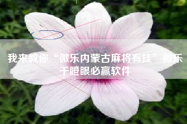 我来教你“微乐内蒙古麻将有挂”微乐干瞪眼必赢软件 我来教你“微乐内蒙古麻将有挂”微乐干瞪眼必赢软件