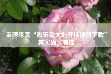 重磅来袭“微乐锄大地开挂神器下载”其实确实有挂 重磅来袭“微乐锄大地开挂神器下载”其实确实有挂