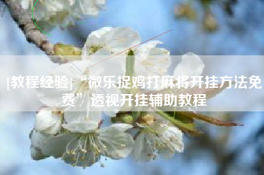 [教程经验]“微乐捉鸡打麻将开挂方法免费”透视开挂辅助教程