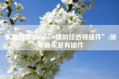 实测分享“agpoker辅助挂透视插件”(原来确实是有插件