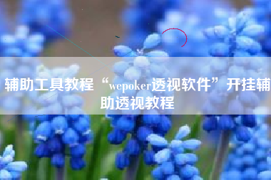 辅助工具教程“wepoker透视软件”开挂辅助透视教程
