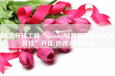辅助开挂工具“wepoker轻量版到底能不能开挂	”开挂(透视)辅助教程