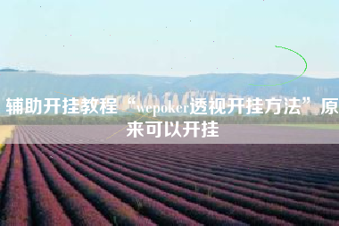 辅助开挂教程“wepoker透视开挂方法	”原来可以开挂