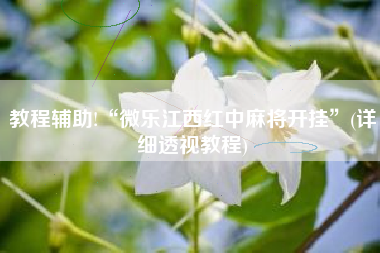 教程辅助!“微乐江西红中麻将开挂	”(详细透视教程)