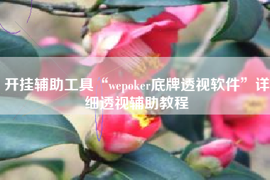 开挂辅助工具“wepoker底牌透视软件	”详细透视辅助教程