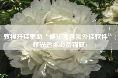 教程开挂辅助“德扑圈包赢外挂软件	”(曝光透视必备猫腻)