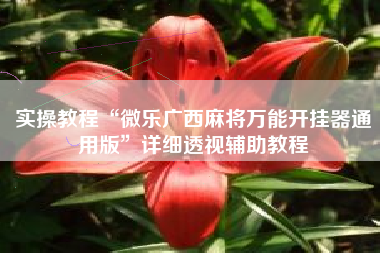 实操教程“微乐广西麻将万能开挂器通用版”详细透视辅助教程