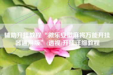 辅助开挂教程“微乐安徽麻将万能开挂器通用版	”(透视)开挂详细教程