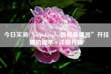 今日实测“wepokerplus透视看牌器”开挂辅助脚本+详细开挂