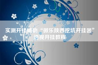 实测开挂辅助“微乐陕西挖坑开挂器	”透视开挂教程