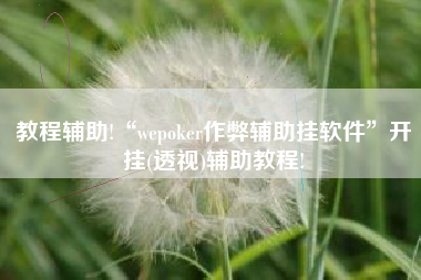 教程辅助!“wepoker作弊辅助挂软件”开挂(透视)辅助教程!