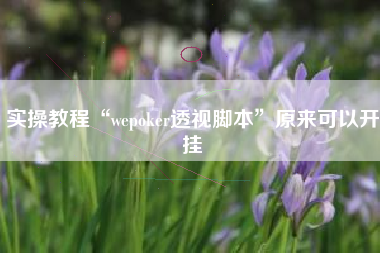 实操教程“wepoker透视脚本”原来可以开挂