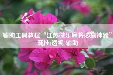 辅助工具教程“江苏微乐麻将必赢神器”开挂(透视)辅助