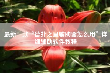 最新一款“德扑之星辅助器怎么用”详细辅助软件教程