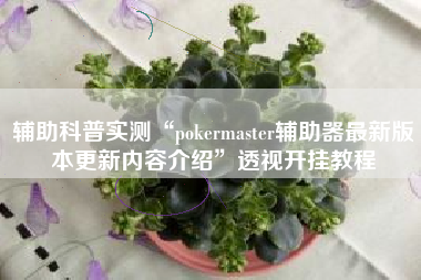 辅助科普实测“pokermaster辅助器最新版本更新内容介绍	”透视开挂教程