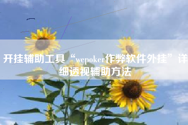 开挂辅助工具“wepoker作弊软件外挂	”详细透视辅助方法