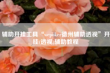 辅助开挂工具“wepoker德州辅助透视	”开挂(透视)辅助教程