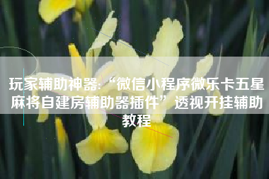 玩家辅助神器:“微信小程序微乐卡五星麻将自建房辅助器插件”透视开挂辅助教程