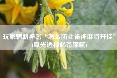 玩家辅助神器“怎么防止雀神麻将开挂”(曝光透视必备猫腻)
