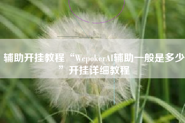 辅助开挂教程“WepokerAI辅助一般是多少”开挂详细教程