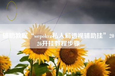 辅助教程“wepoker私人局透视辅助挂”2026开挂教程步骤