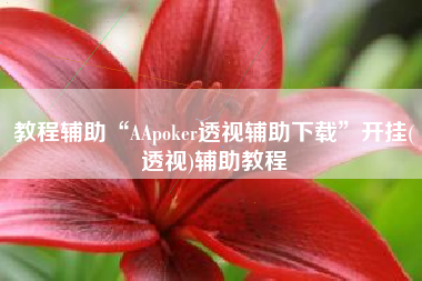 教程辅助“AApoker透视辅助下载	”开挂(透视)辅助教程