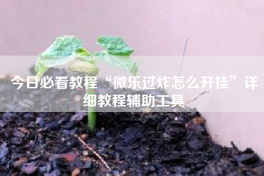 今日必看教程“微乐过炸怎么开挂”详细教程辅助工具