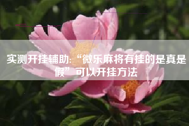 实测开挂辅助:“微乐麻将有挂的是真是假”可以开挂方法