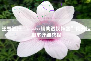 重要通报“aapoker辅助透视神器”附开挂脚本详细教程