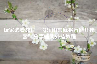 玩家必看教程“微乐山东麻将万能开挂器”分享辅助外挂教程