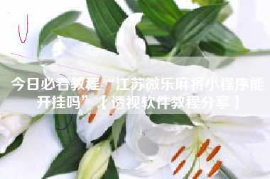 今日必看教程“江苏微乐麻将小程序能开挂吗”【透视软件教程分享】