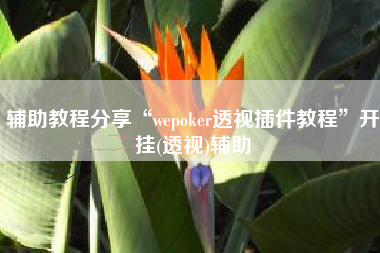 辅助教程分享“wepoker透视插件教程”开挂(透视)辅助