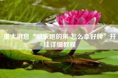 重大消息“微乐跑的来 怎么拿好牌”开挂详细教程