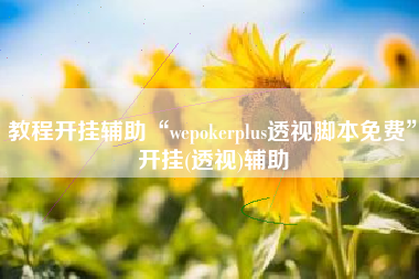 教程开挂辅助“wepokerplus透视脚本免费”开挂(透视)辅助