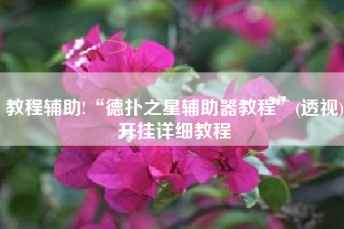 教程辅助!“德扑之星辅助器教程”(透视)开挂详细教程