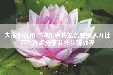 大家都在用“微乐麻将怎么看别人开挂不	”详细分享装挂步骤教程