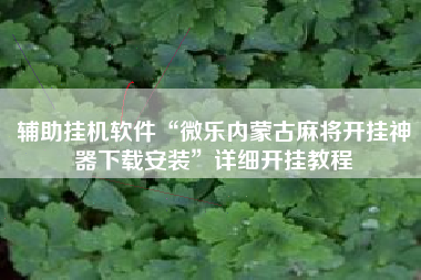辅助挂机软件“微乐内蒙古麻将开挂神器下载安装”详细开挂教程