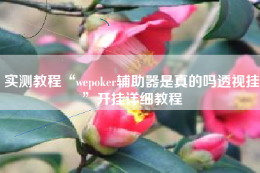 实测教程“wepoker辅助器是真的吗透视挂	”开挂详细教程